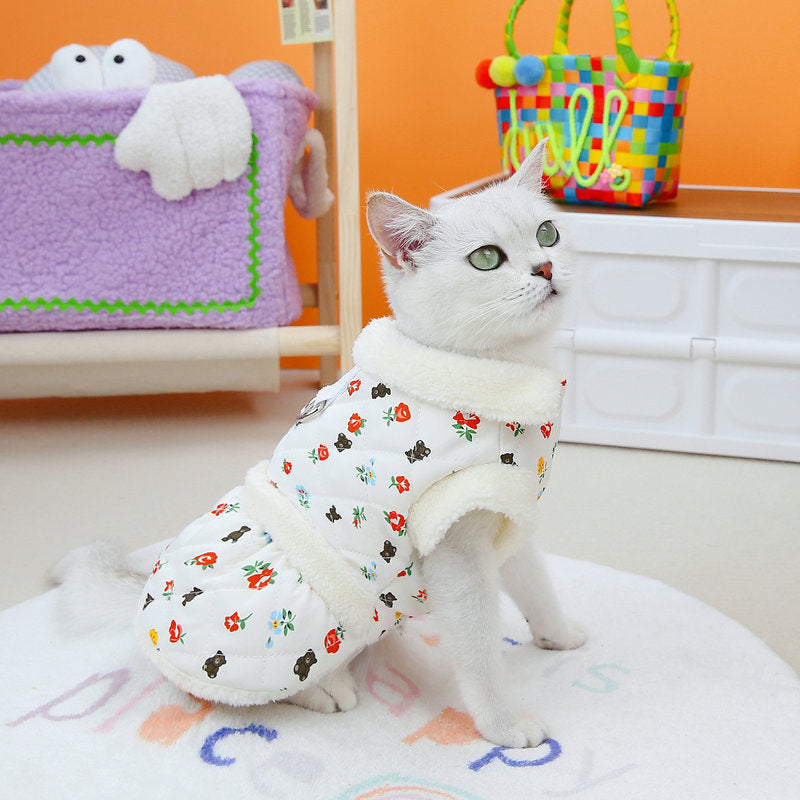 Cat wear