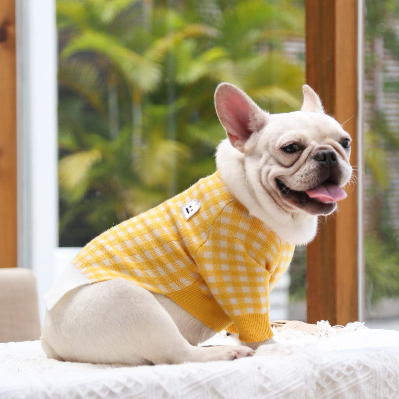 Dog wear