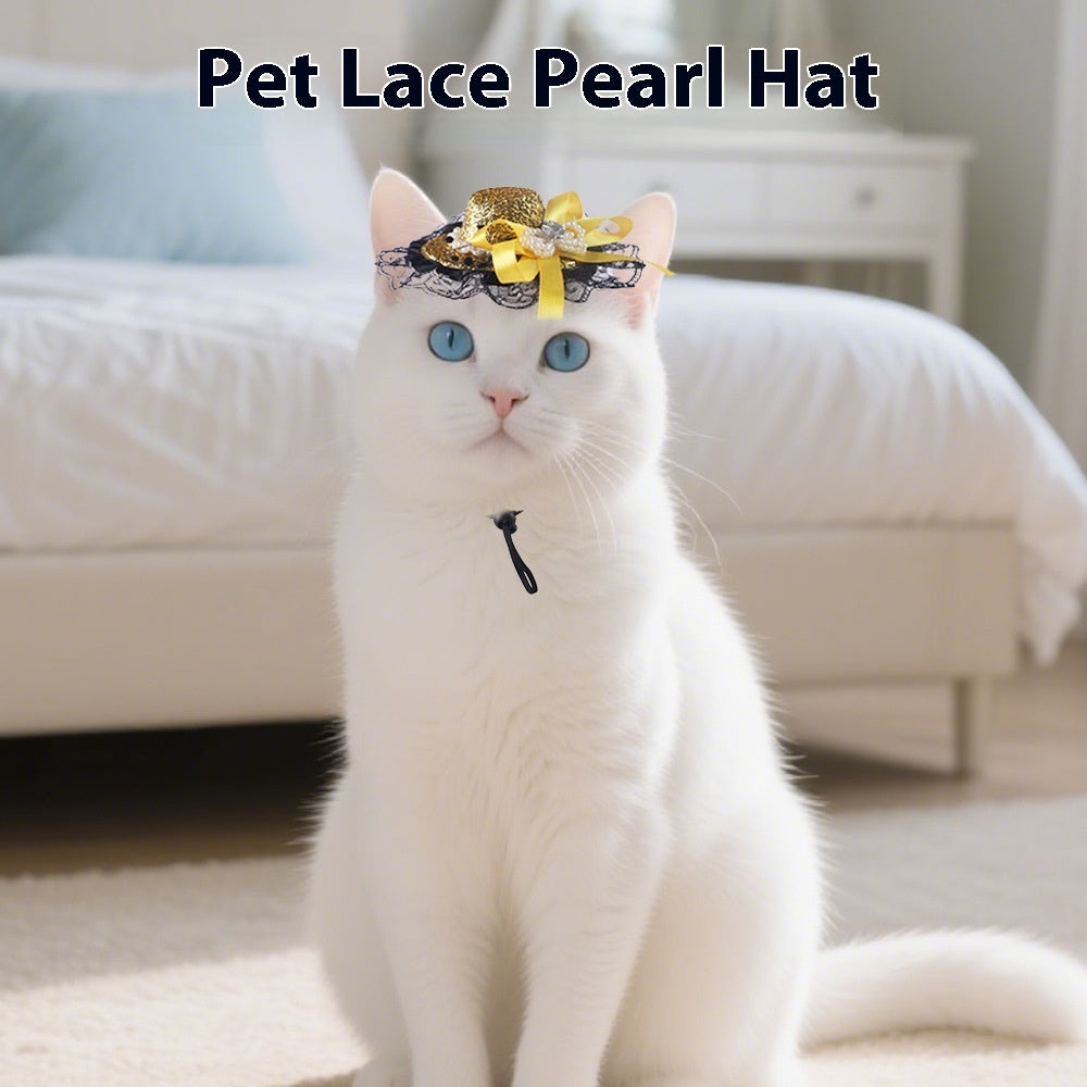 Pet Accessories
